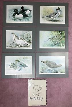 6 Vintage Prints Game Birds Wildfowl Basil Ede Pencil Signed Limited Edition