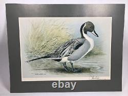 6 Vintage Prints Game Birds Wildfowl Basil Ede Pencil Signed Limited Edition