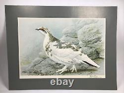 6 Vintage Prints Game Birds Wildfowl Basil Ede Pencil Signed Limited Edition