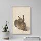Albrecht Durer Young Hare (1502) Painting Photo Poster Print Art Gift