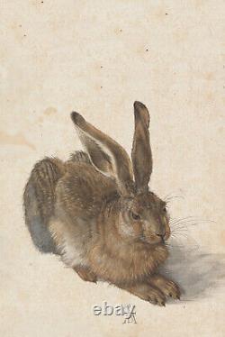 Albrecht Durer Young Hare (1502) Painting Photo Poster Print Art Gift