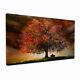 Big Oak Tree Stunning High Quality Nature Canvas Wall Art Prints Ready To Hang