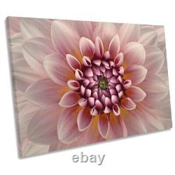 Blush Pink Dahlia Flower Floral CANVAS WALL ART Print Picture