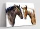 Brown Watercolour Horses Painting -deep Framed Canvas Wall Art Picture Print