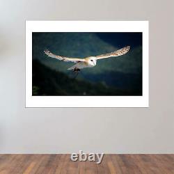 Carl Frederic Barn Owl flying Wall Art Poster Print
