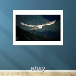Carl Frederic Barn Owl flying Wall Art Poster Print