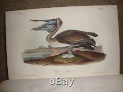 Complete 7 Volume J. J. Audubon Birds Of America 1st Ed Set 1840-All 500 Plates