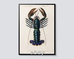 Crimson Crawfish, Charles D'Orbigny Vintage Zoology Illustration, Sea Creature