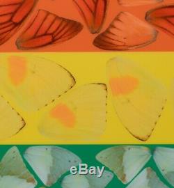 DAMIEN HIRST Butterfly Heart (Small) Heni Edition H7-4 Rainbow Print RARE