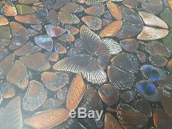 DAMIEN HIRST Butterfly Rape of Persephone Panel Fully Authenticated V. Rare new