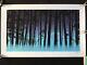 Dan Mccarthy Ghost Pines Four Colour Signed Screen Print Glow In The Dark