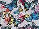 David Bromley Butterflies Signed Limited Edition Print 77cm X 104cm Stunning