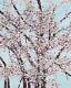 Damien Hirst The Virtues H9-3 Mercy Signed And Numbered- Cherry Blossoms