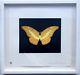 Damien Hirst'to Lure' Rare Signed And Framed Butterfly Etching. Edn Of 75