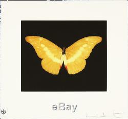 Damien Hirst'To Lure' Rare Signed and Framed butterfly etching. Edn of 75