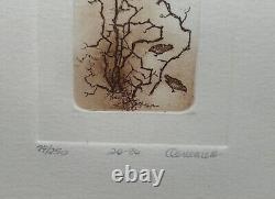 Diane Deneault Original Framed Etching 20-80 Signed