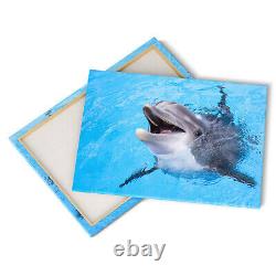 Dolphin Smiling Cute Canvas Print Picture Framed Wall Art Poster Paper Close Up