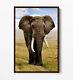 Elephant 2 Large Canvas Wall Art Float Effect/frame/picture/poster Print-grey