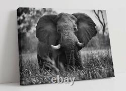 Elephant 5 Large Canvas Wall Art Float Effect/frame/picture/poster Print-grey