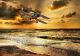 Fairey Swordfish Canvas Prints Various Sizes Free Delivery