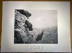 Falling Buffalo 22x30 Western Art Photograph