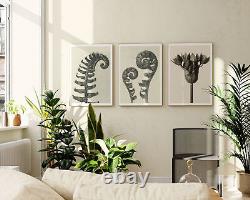 Ferns & Flower by Karl Blossfeldt, Set of 3 Photographic Vintage Posters, Wall