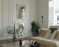 Ferns & Flower by Karl Blossfeldt, Set of 3 Photographic Vintage Posters, Wall