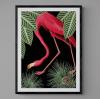 Flamingo Bird Animal Illustration Colourful Art Print