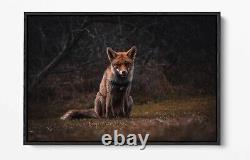 Fox 5 Large Canvas Wall Art Float Effect/frame/picture/poster Print- Orange