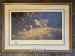 Framed Signed Limited Edition Print Jaguars by David Shepherd Ltd 1446/1500