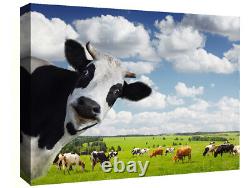 Funny Rural Cow Box Canvas wall art print picture All sizes available
