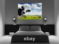 Funny Rural Cow Box Canvas wall art print picture All sizes available