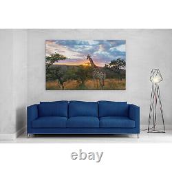 Giraffe on African Plains Canvas Print Picture Framed Wall Art Poster at Sunrise