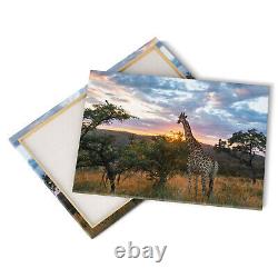 Giraffe on African Plains Canvas Print Picture Framed Wall Art Poster at Sunrise