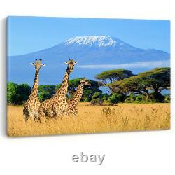 Giraffes Kenya Mount Kilimanjaro Safari Framed Canvas Wall Art Picture Print