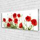 Glass Print Wall Art 125x50 Image Picture Poppies Floral