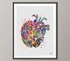 Heart And Brain Watercolor Print Medical Art Science Art Geek Nerd Neurology Art