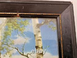 Hermann Rudisuhli Swiss art Circa 1920's The Birch Grove color print wood frame