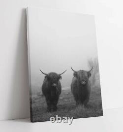 Highland Cow 9 Canvas Wall Art Float Effect/frame/picture/poster Print