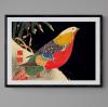 Japanese Golden Pheasant Bird Colourful Wall Art Print Poster