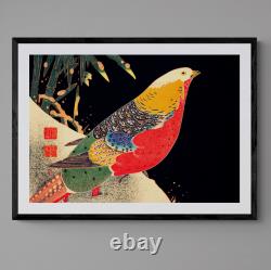 Japanese Golden Pheasant Bird Colourful Wall Art Print Poster