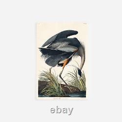 John James Audubon Great Blue Heron (1827) Painting Photo Poster Print Art