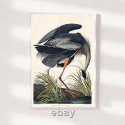 John James Audubon Great Blue Heron (1827) Painting Photo Poster Print Art