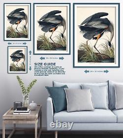 John James Audubon Great Blue Heron (1827) Painting Photo Poster Print Art