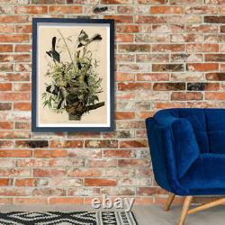 John James Audubon Mocking Bird Wall Art Poster Print