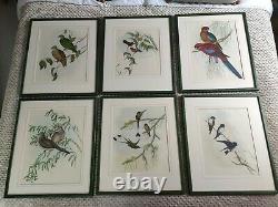 Large Framed Bird Prints X6, Oka Style