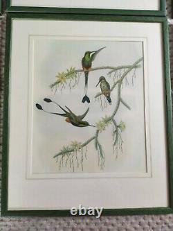 Large Framed Bird Prints X6, Oka Style