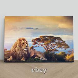 Lion near Mount Kilimanjaro Canvas Print Picture Framed Wall Art Poster Paper