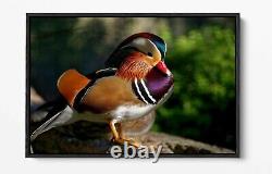 Mandarin Duck Large Canvas Wall Art Float Effect/frame/picture/poster Print