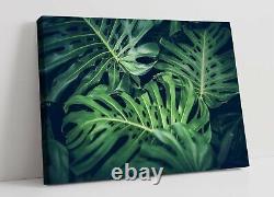 Monstera Leaf 6 Canvas Wall Art Float Effect/frame/picture/poster Print- Green